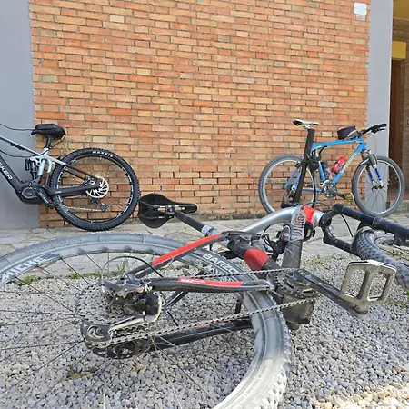 Anna - Bike Friendly Buonconvento